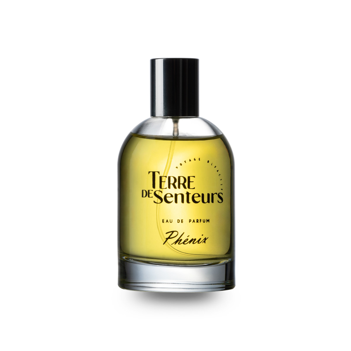 Parfum homme phénix