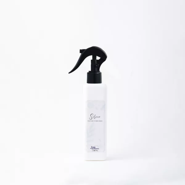 Parfum d'ambiance Silver 300ml