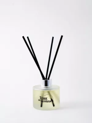 Diffuseur à bâtonnets 120ml – Jasmin